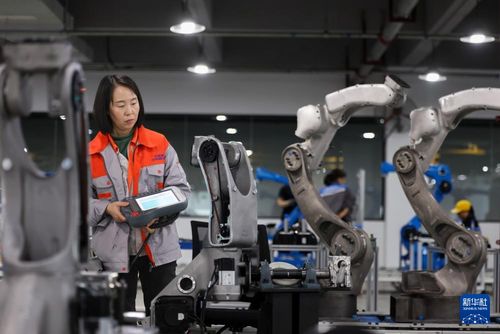 中国经济样本观察 企业样本篇 从大学生创业园闯出来的 小巨人 卡诺普机器人的逐梦历程