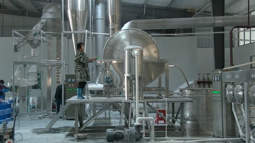 决定红薯淀粉加工设备价格的因素有哪些