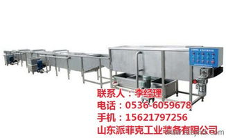 宁夏网带式喷淋清洗机,山东派菲克,网带式喷淋清洗机品牌