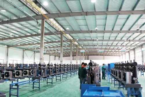 2020年工作回眸 武东镇 尽心竭力 稳增长 ,经济建设取得新成就